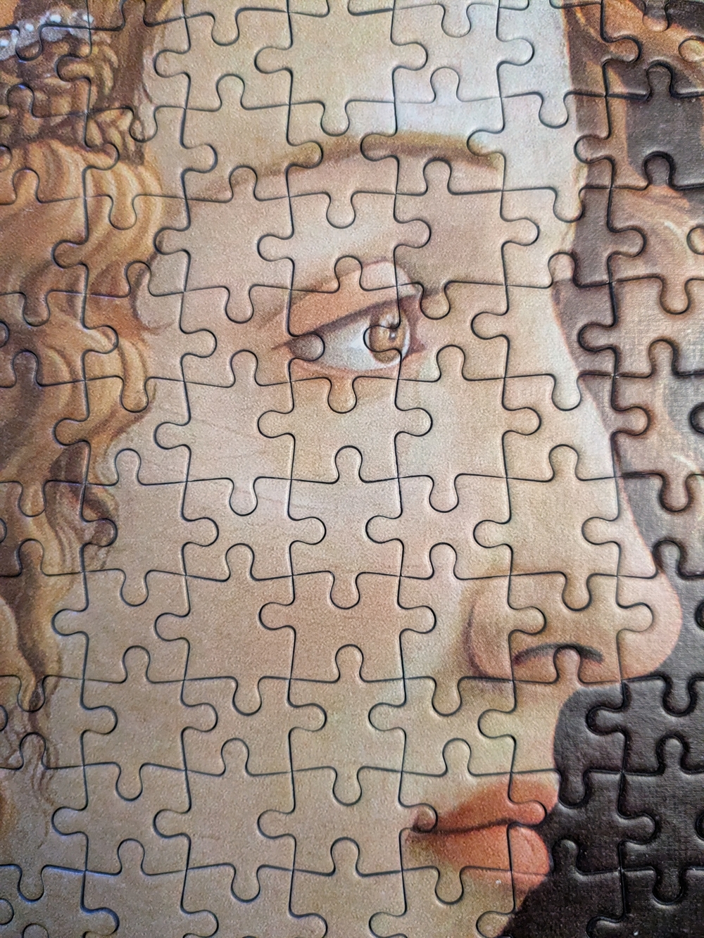 D-toys Botticelli 1000 Piece Puzzle - Picture 2 of 11